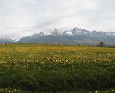 Zrub Benango Chata Mengusovce