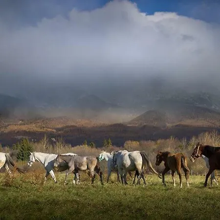 Zrub Benango Mengusovce