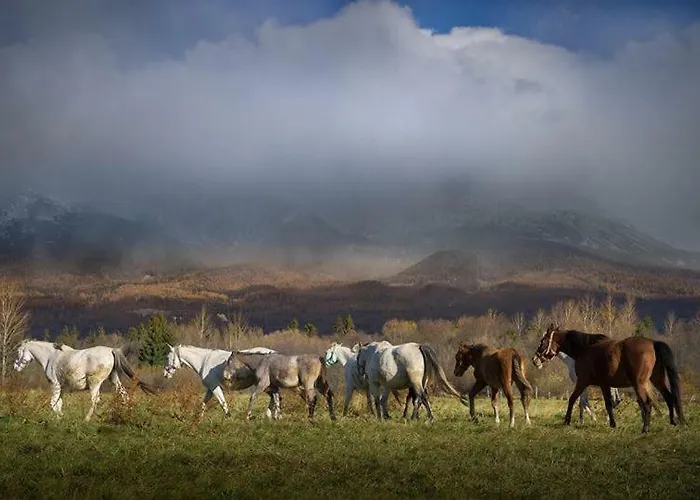Zrub Benango Mengusovce
